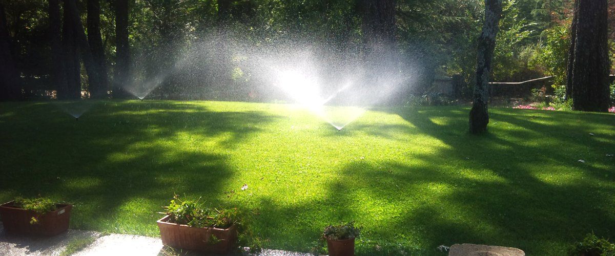 Cesped para jardines