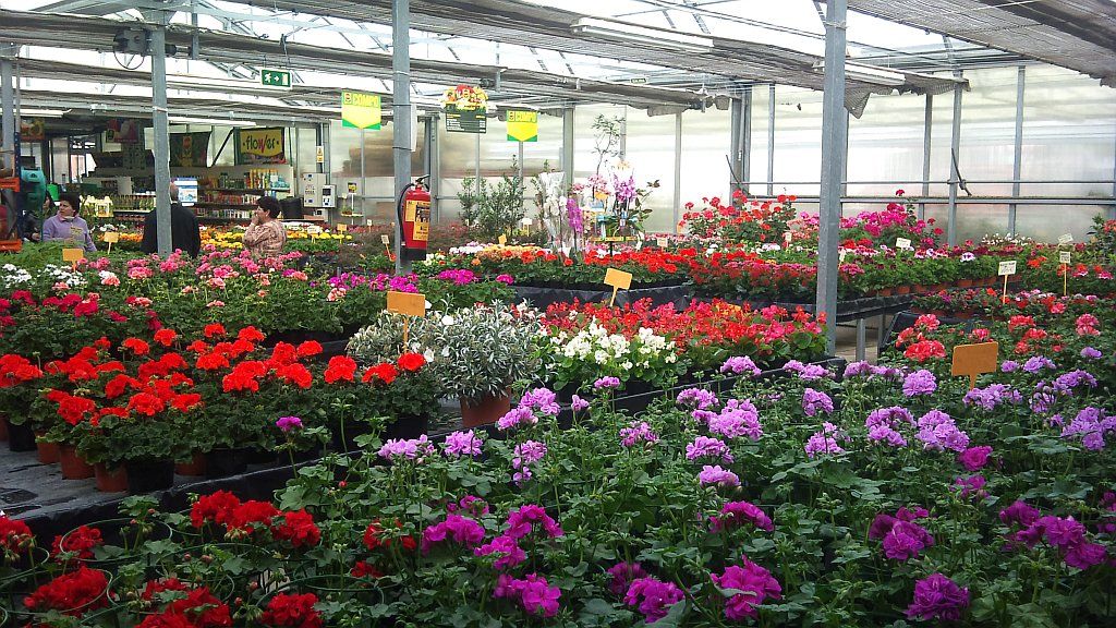 Centro de jardinería