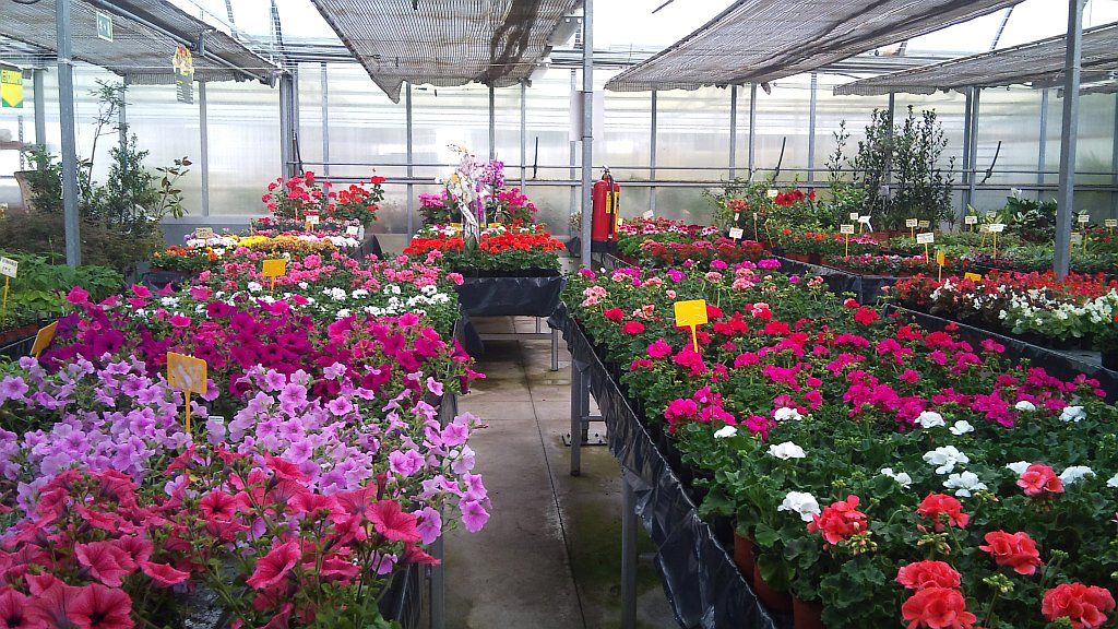 Centro de jardinería