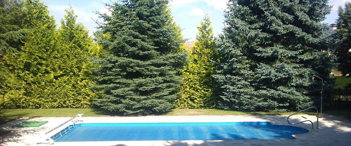 Cesped para piscinas