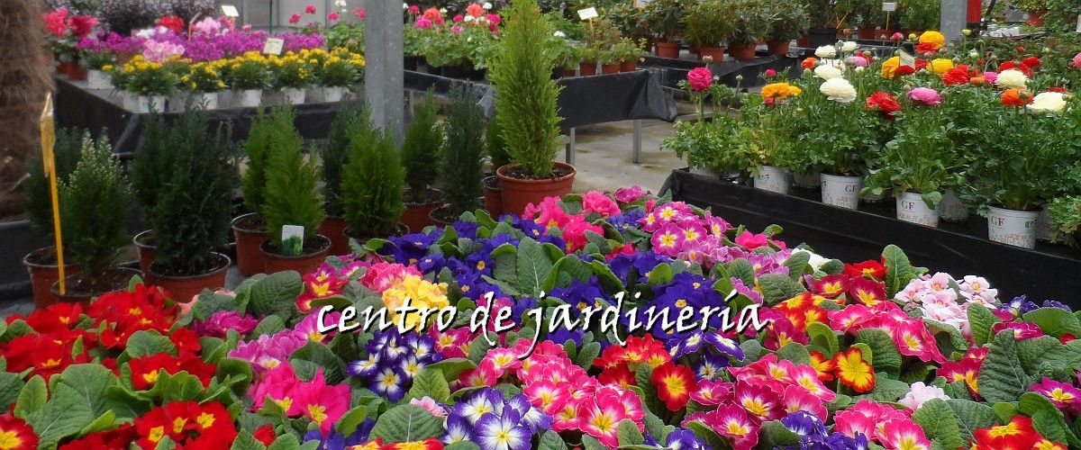 Centro de jardinería slide03